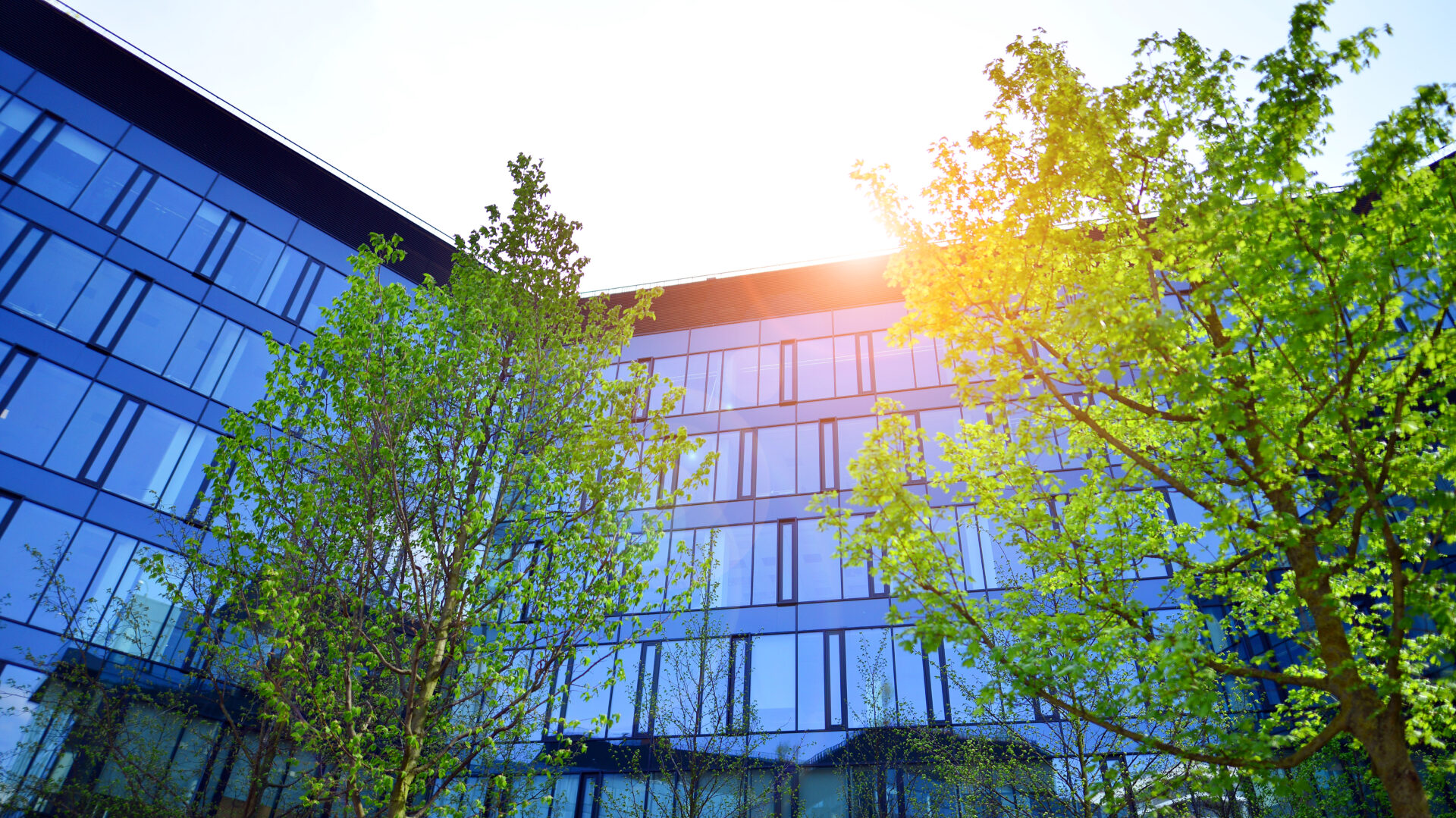 Reflection of modern commercial building on glass with sunlight.