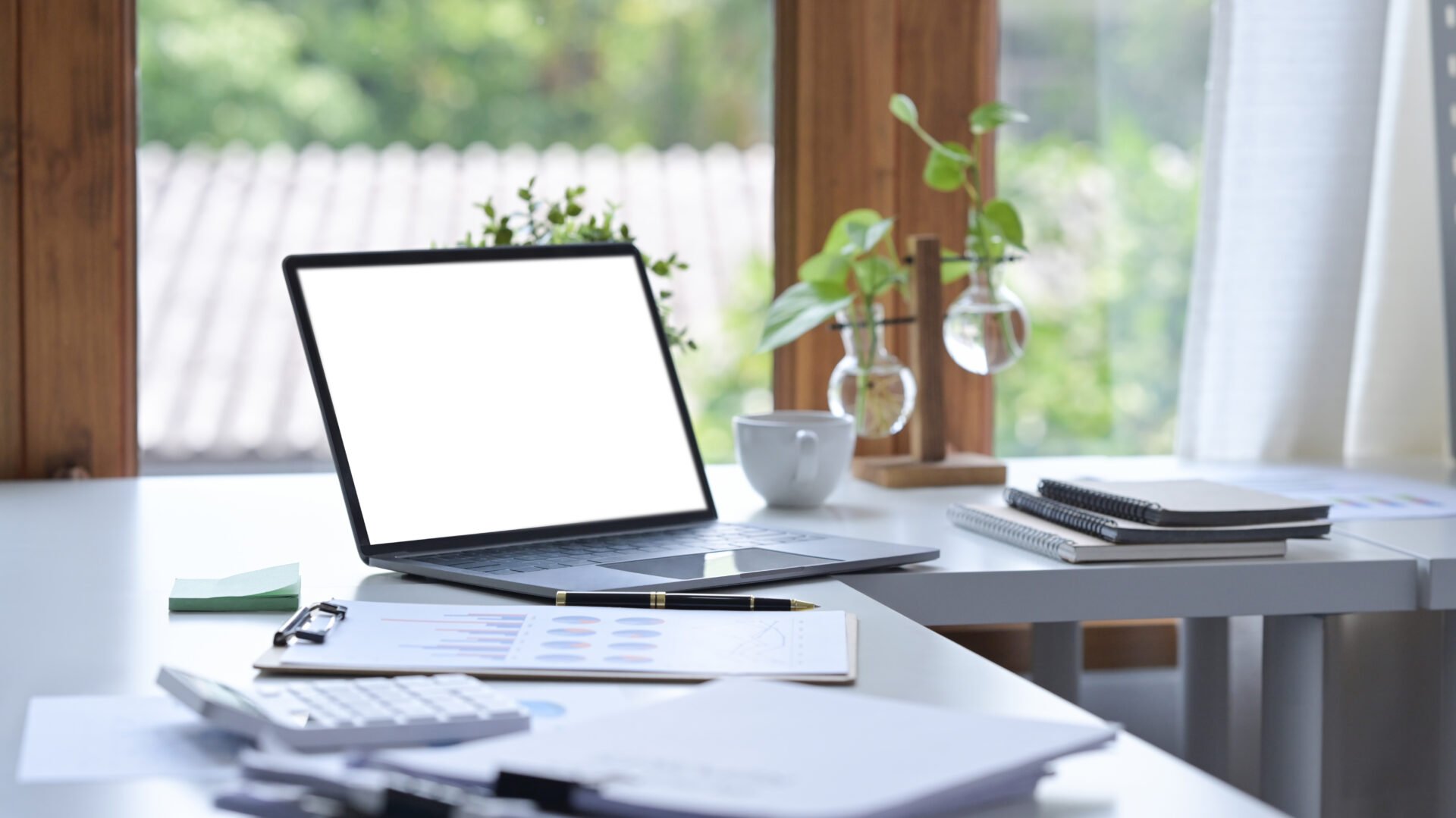 Comfortable workplace with computer laptop, documents, coffee cup and houseplant on white table.